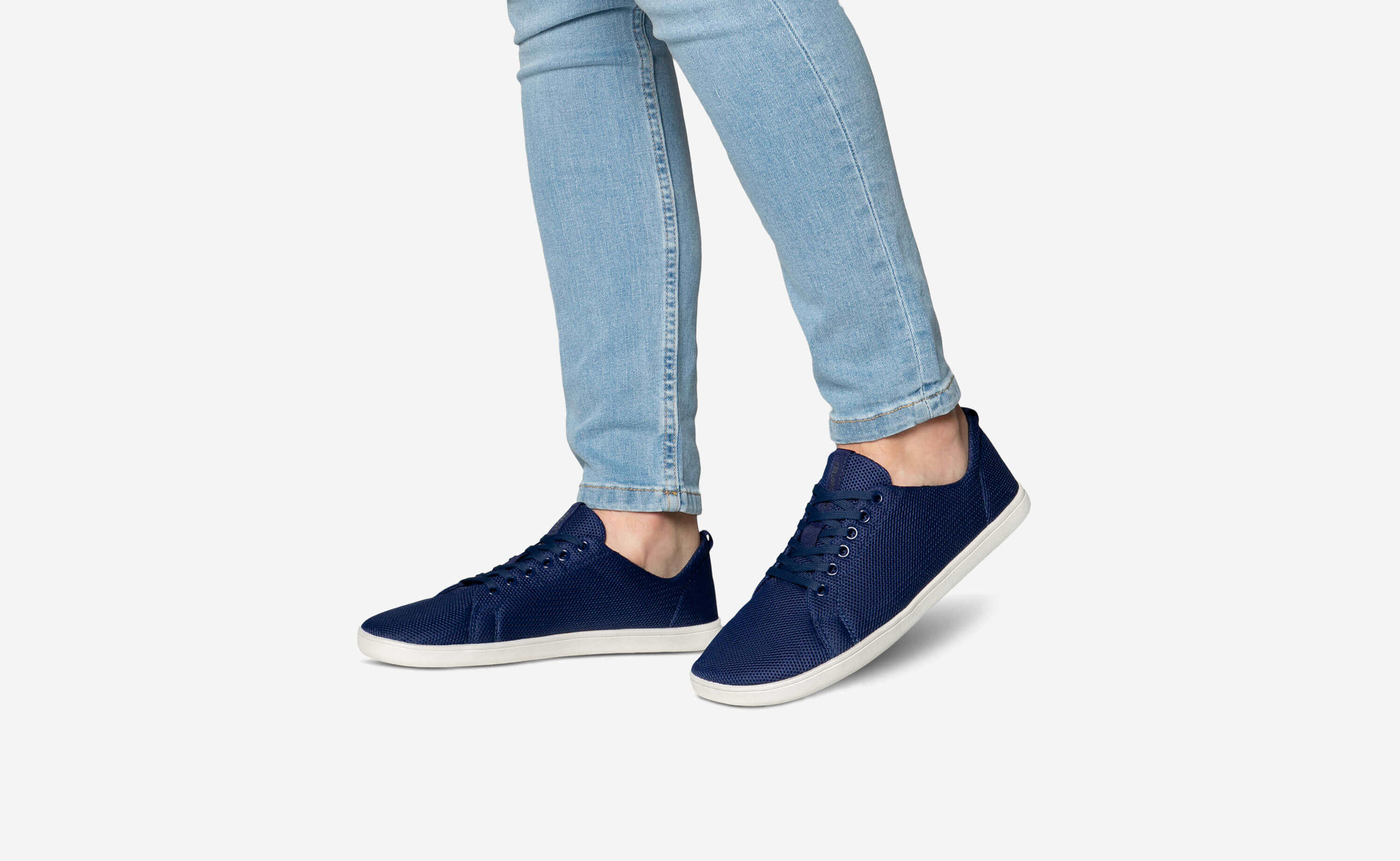 Original Mesh