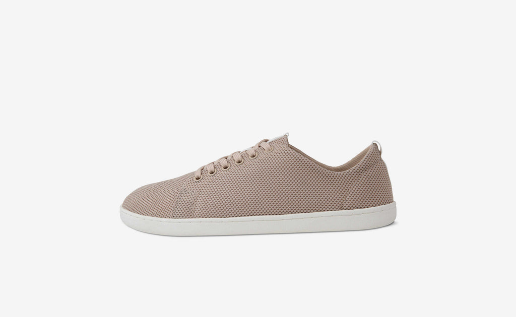 Original Mesh