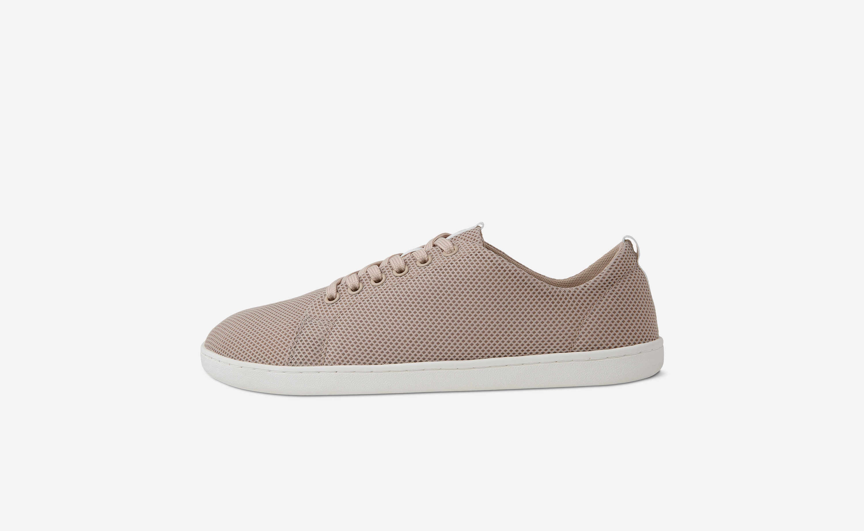 Original Mesh