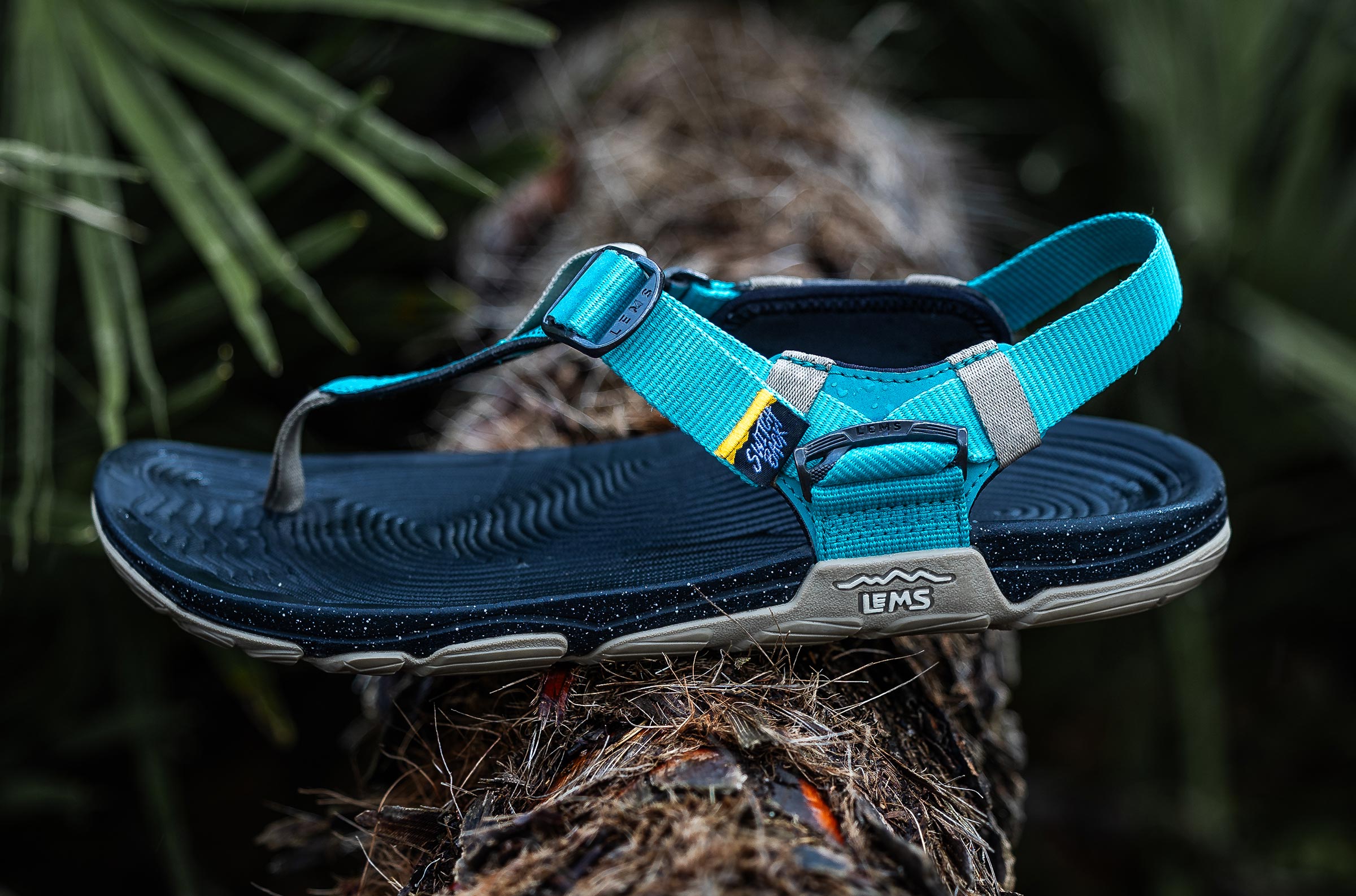 Switchback Sandal