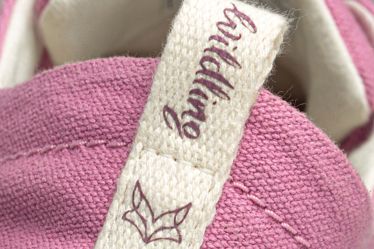 Cotinga rosé