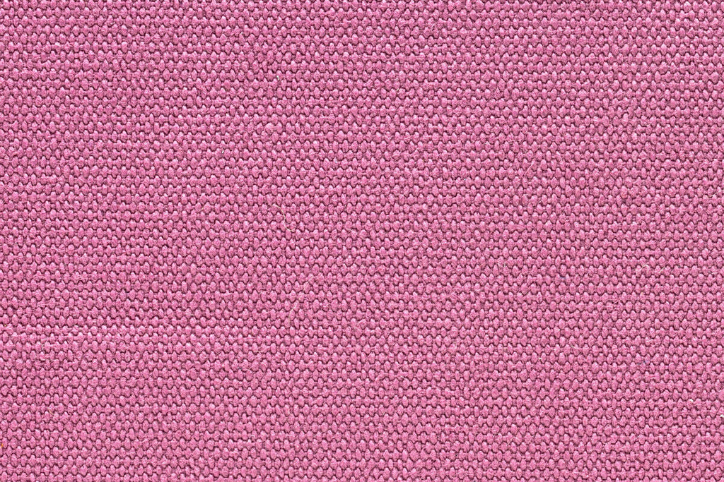 Cotinga rosé