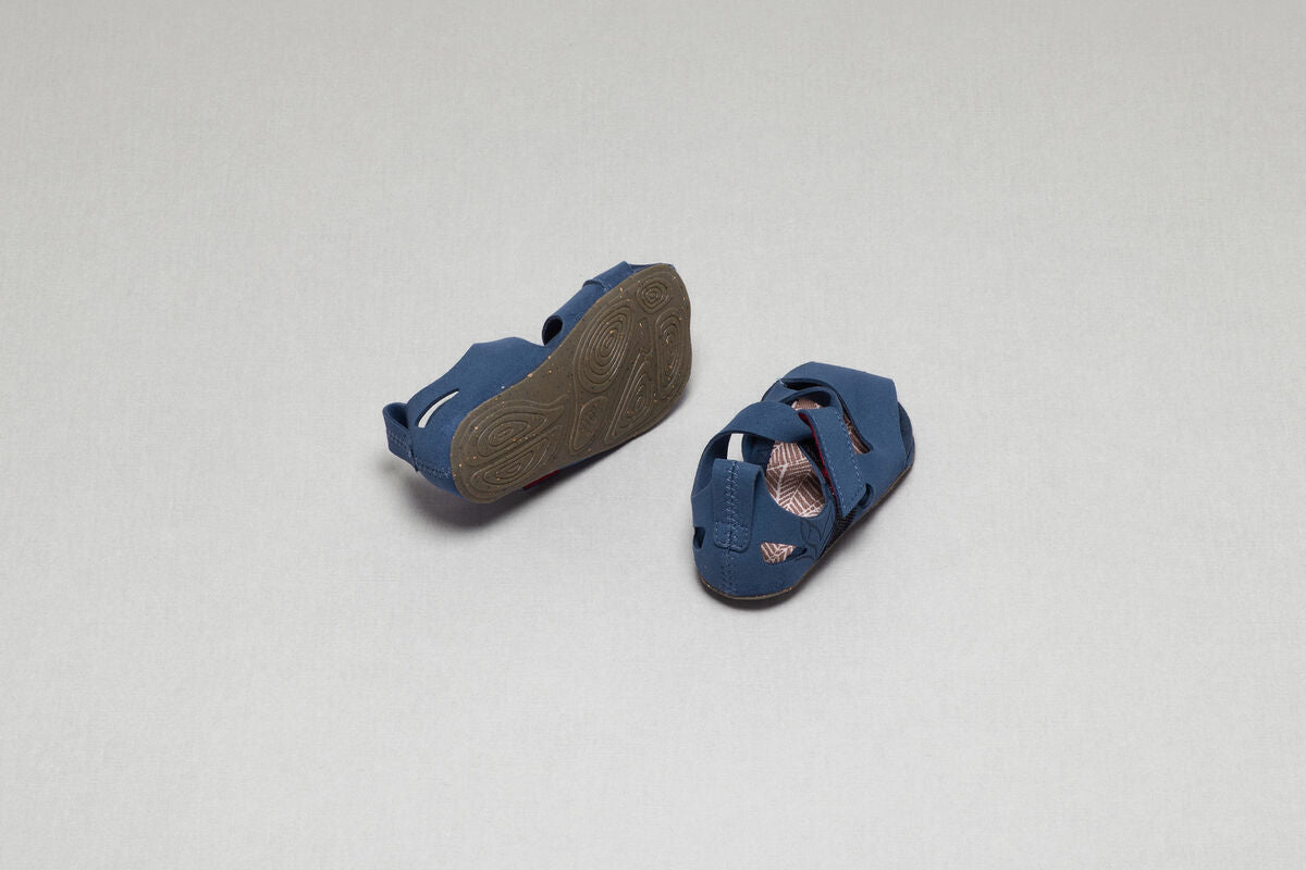 Feder indigo