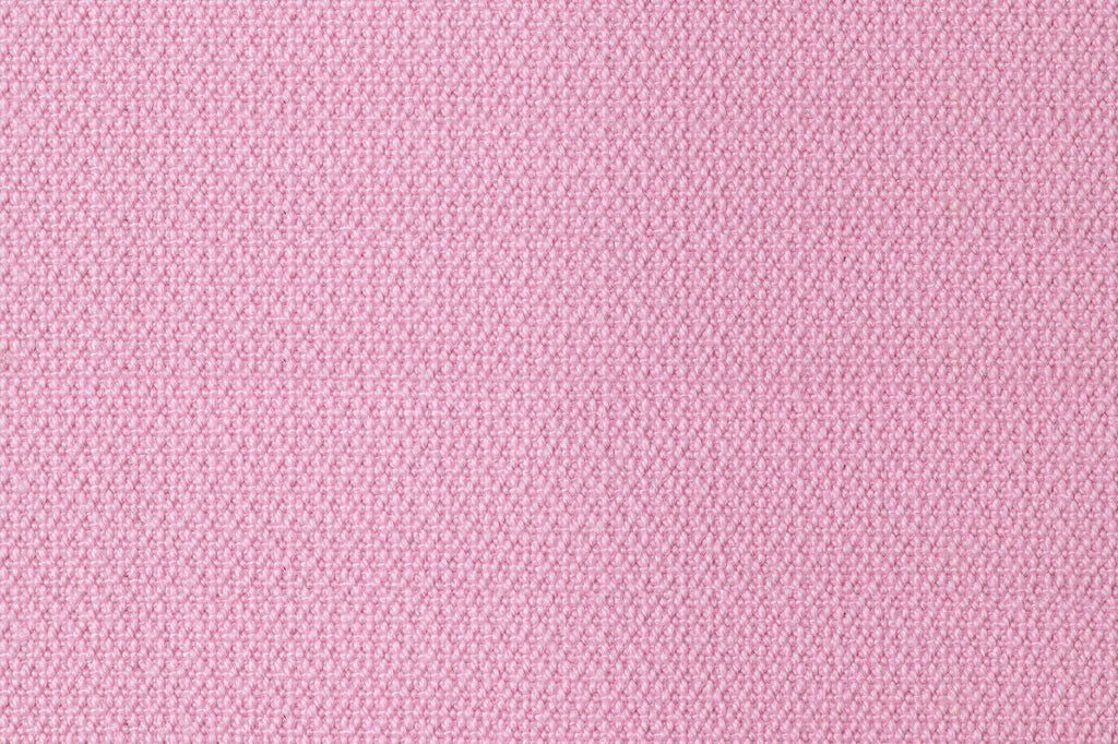 Prunus