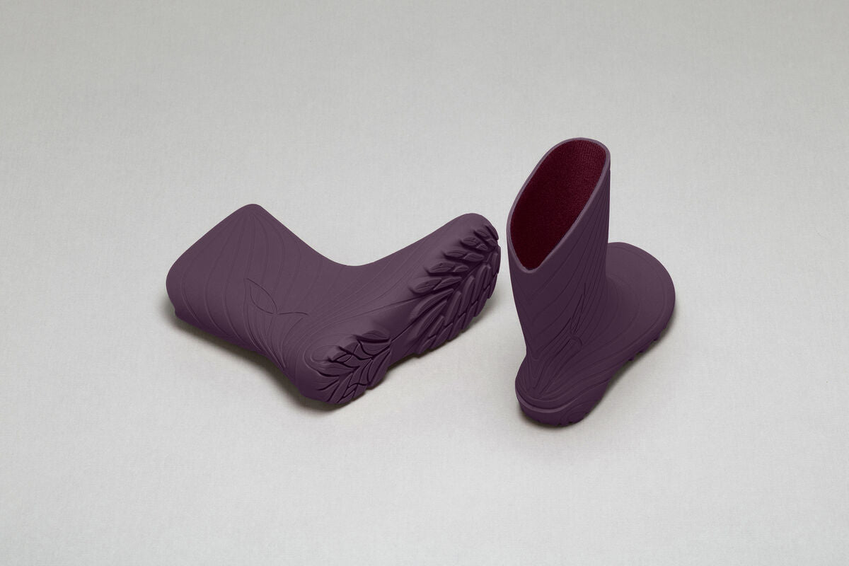 Ranidae plum