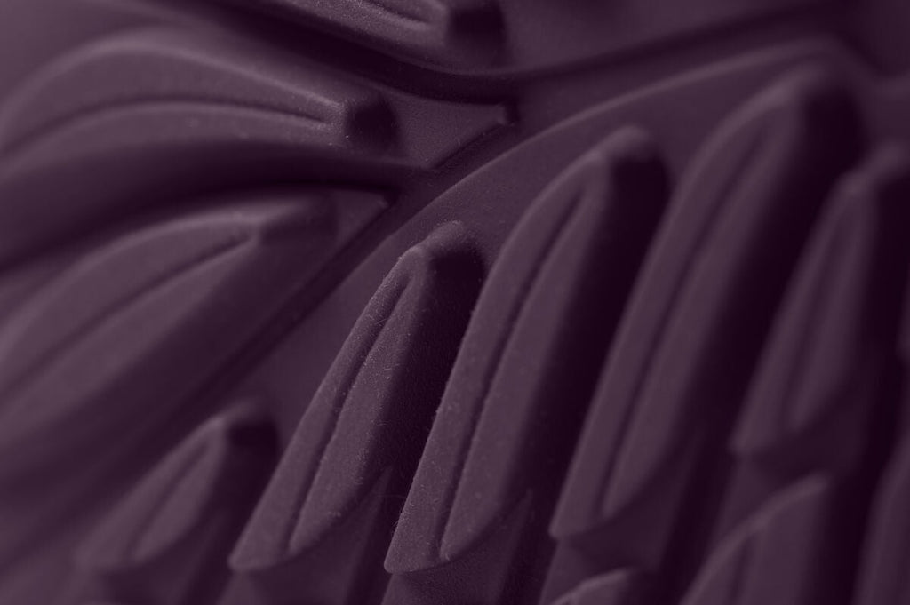 Ranidae plum