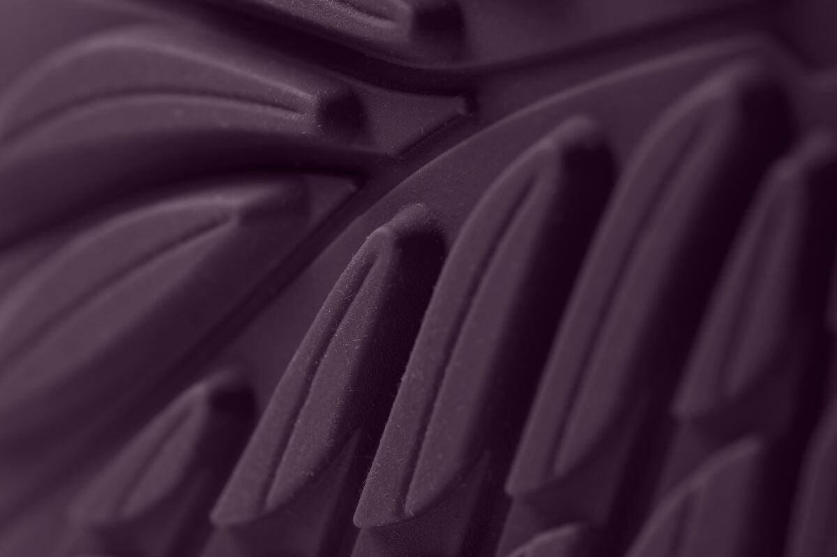 Ranidae plum