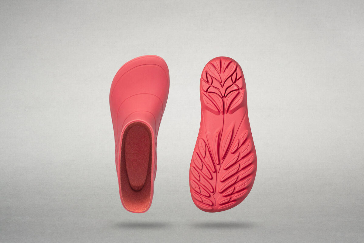Ranidae coral