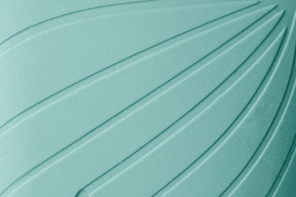 Ranidae mint