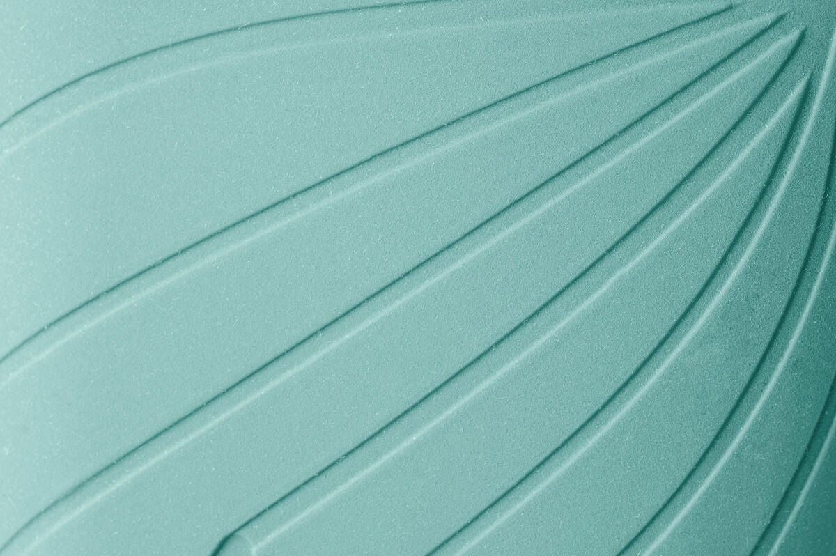 Ranidae mint