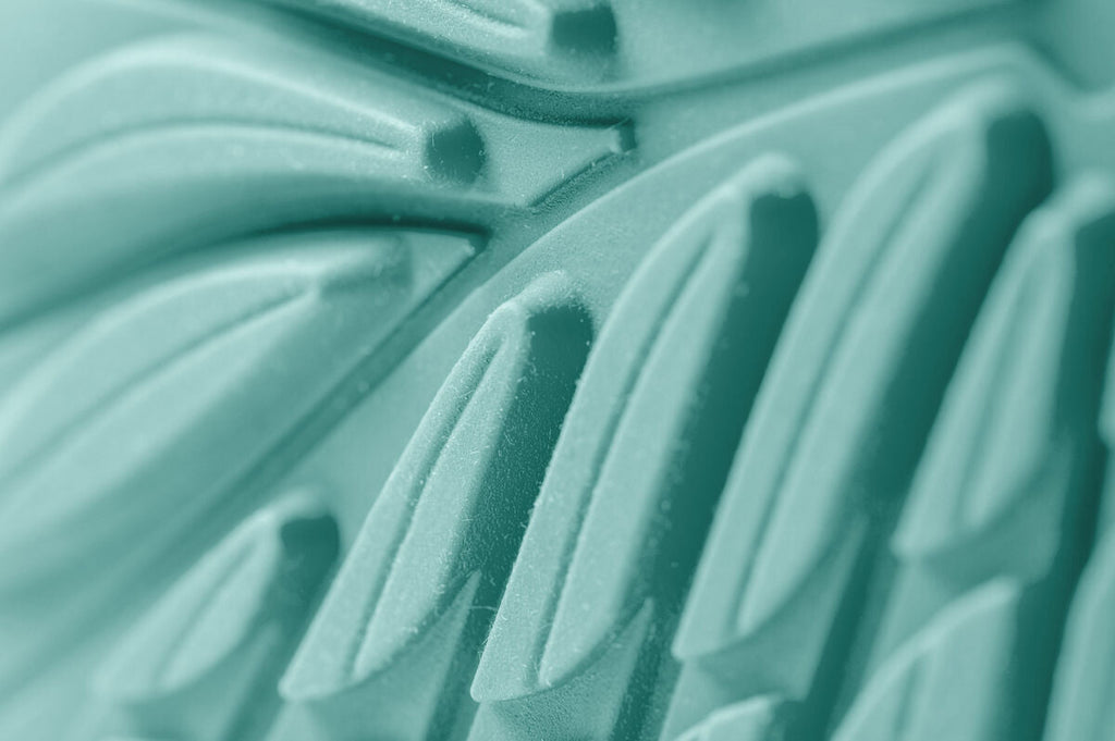 Ranidae mint