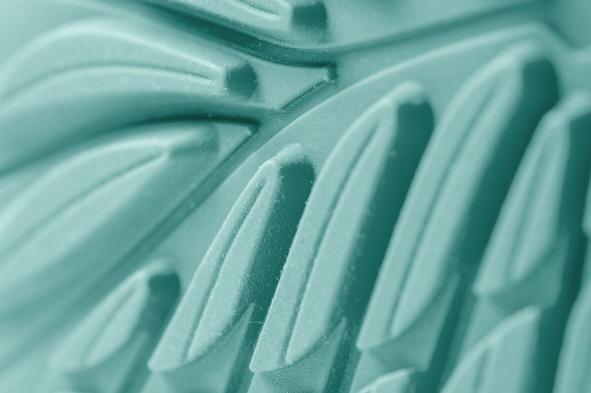 Ranidae mint