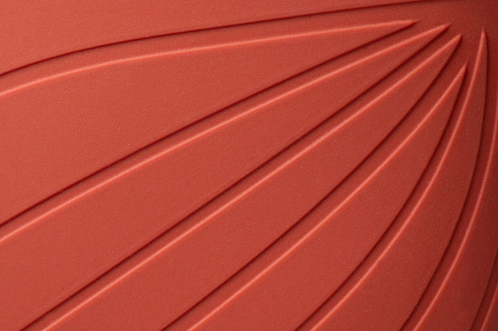 Ranidae orange
