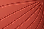 Ranidae orange