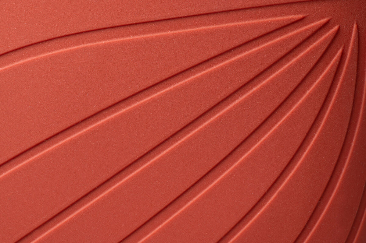Ranidae orange