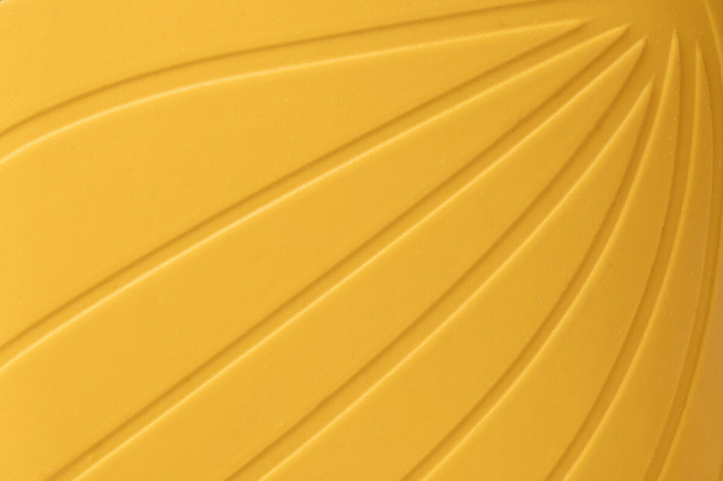 Ranidae yellow