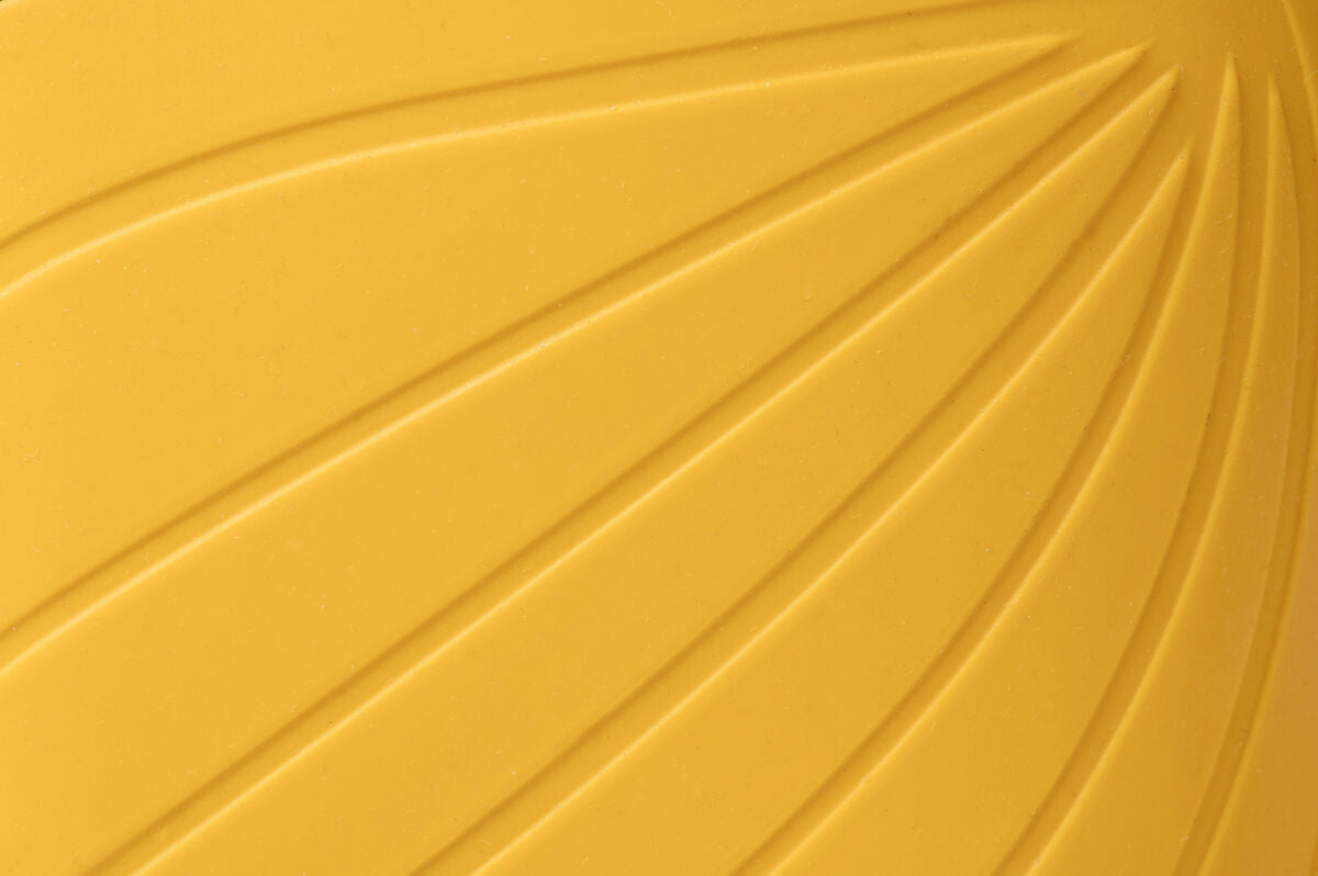 Ranidae yellow