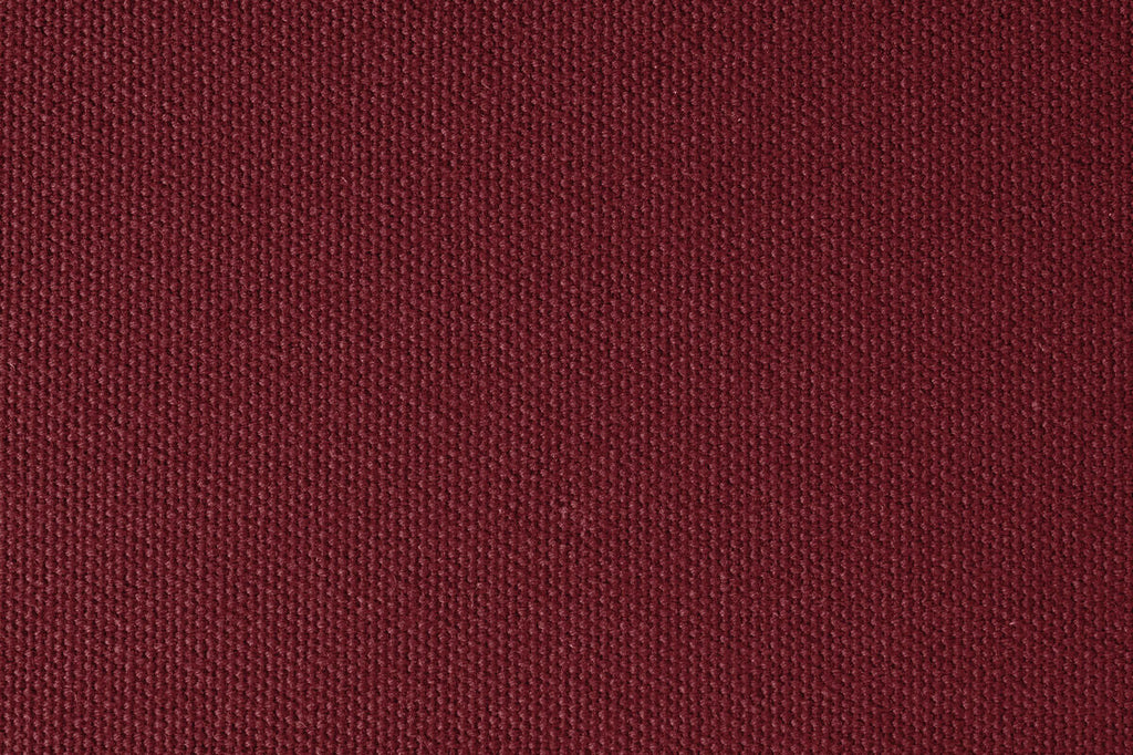 Tejo russet