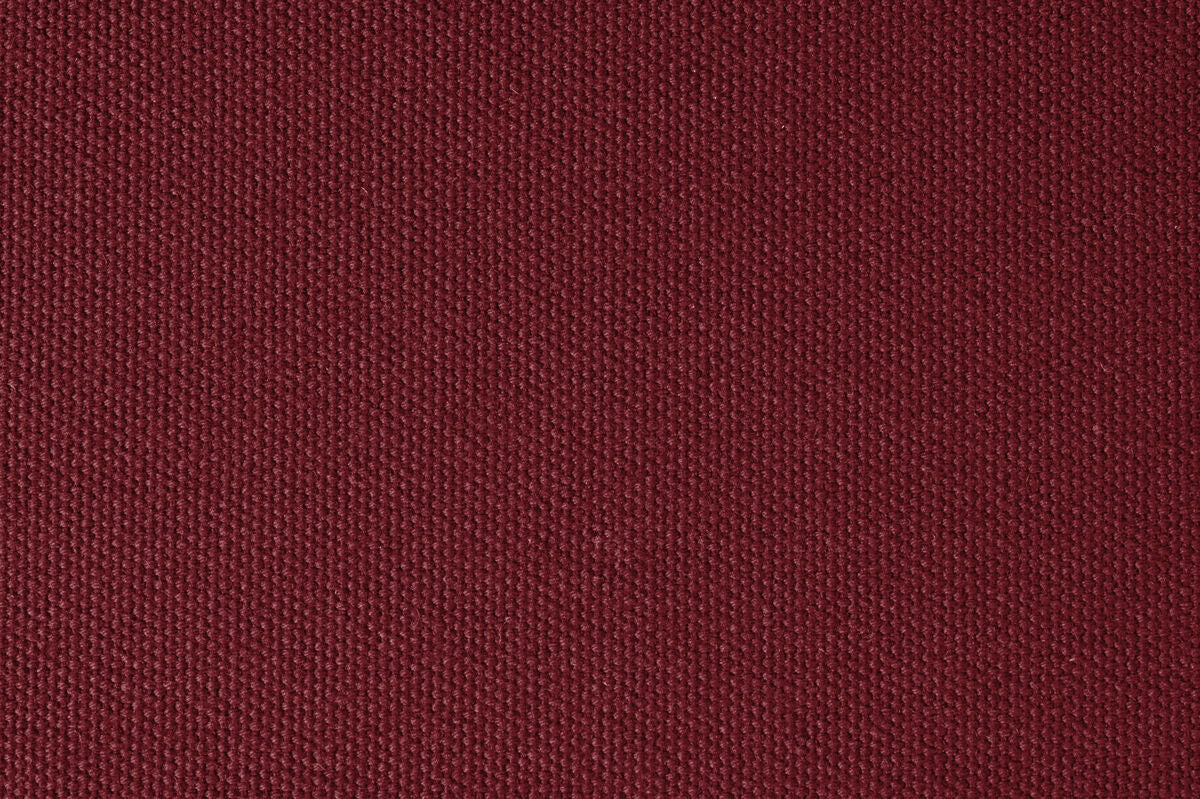 Tejo russet