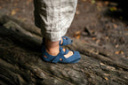 Feder indigo