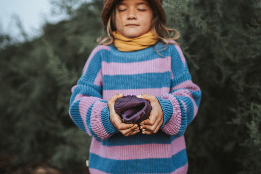 Ranidae plum