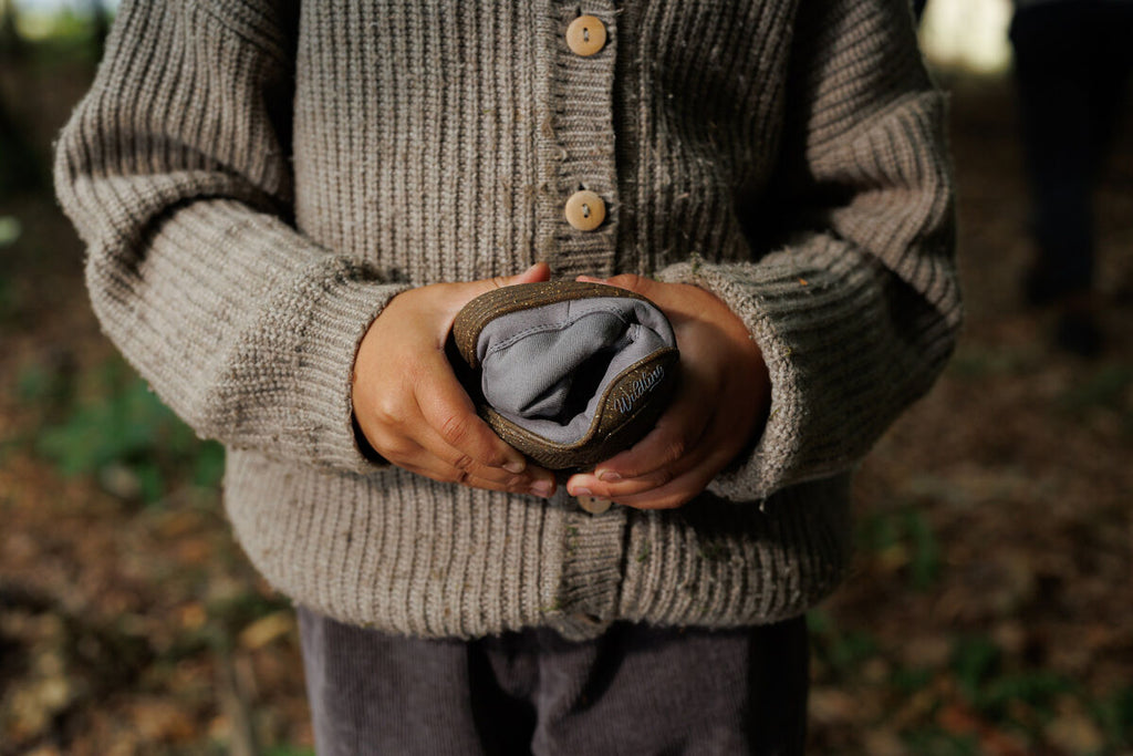 Robinie